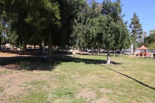 Enlarge photo 51