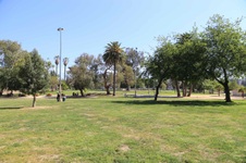 Enlarge photo 53