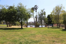 Enlarge photo 54