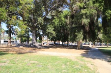 Enlarge photo 55