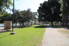 Enlarge photo 63