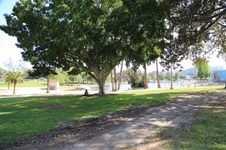 Enlarge photo 69