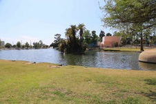 Enlarge photo 75