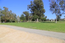 Enlarge photo 78
