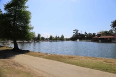 Enlarge photo 79