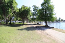 Enlarge photo 80