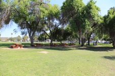 Enlarge photo 81