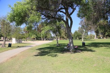 Enlarge photo 83