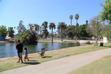 Enlarge photo 84