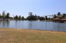 Enlarge photo 86