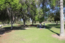 Enlarge photo 90