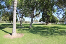 Enlarge photo 91