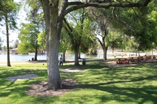 Enlarge photo 93
