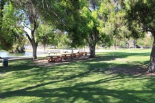 Enlarge photo 94