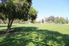 Enlarge photo 95