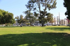 Enlarge photo 98