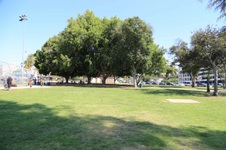 Enlarge photo 100