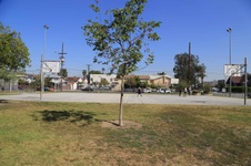 Enlarge photo 17