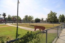 Enlarge photo 35