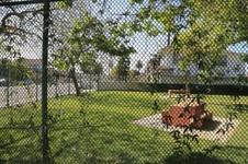 Enlarge photo 63