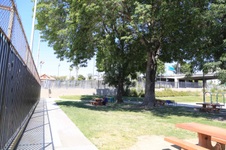 Enlarge photo 11