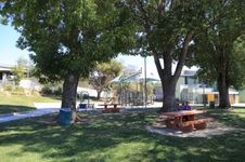 Enlarge photo 16