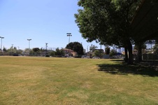 Enlarge photo 41