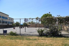 Enlarge photo 62