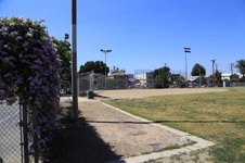 Enlarge photo 66