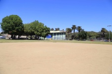 Enlarge photo 81