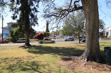 Enlarge photo 22