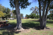 Enlarge photo 25