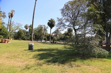 Enlarge photo 29