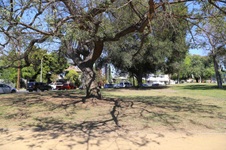 Enlarge photo 32
