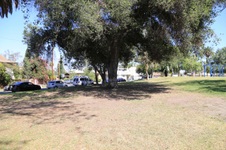 Enlarge photo 37