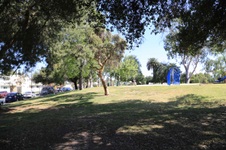 Enlarge photo 40