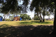 Enlarge photo 41