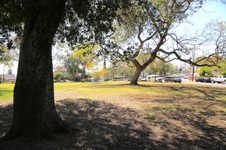 Enlarge photo 42