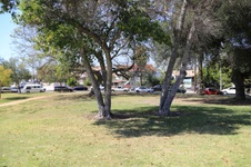 Enlarge photo 48
