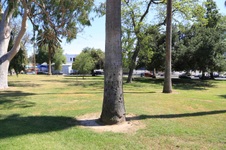 Enlarge photo 52