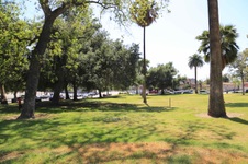 Enlarge photo 54
