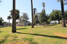 Enlarge photo 55