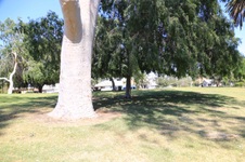 Enlarge photo 57