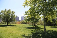 Enlarge photo 3