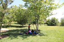 Enlarge photo 7