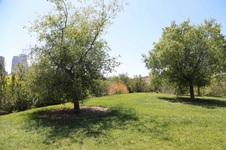Enlarge photo 10