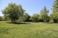 Enlarge photo 11