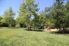 Enlarge photo 12