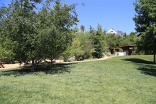 Enlarge photo 13