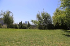 Enlarge photo 17